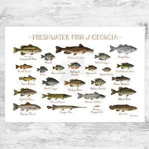 Wholesale Freshwater Fish Field Guide Art Print: Georgia