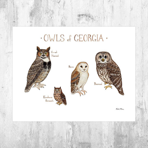 Wholesale Owls Field Guide Art Print: Georgia