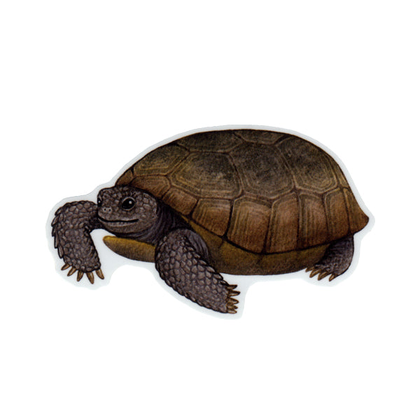 Wholesale Vinyl Sticker: Gopher Tortoise