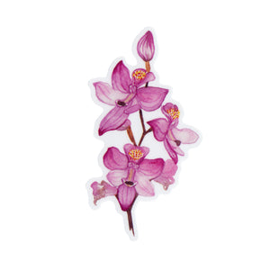 Wholesale Vinyl Sticker: Grasspink Orchid