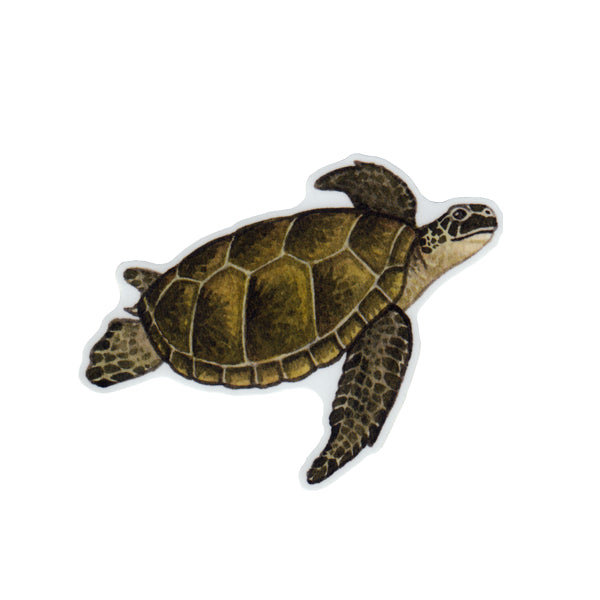 Wholesale Vinyl Sticker: Green Sea Turtle