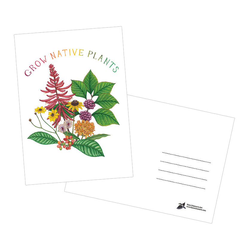 Grow Native Plants 5x7 Postcard