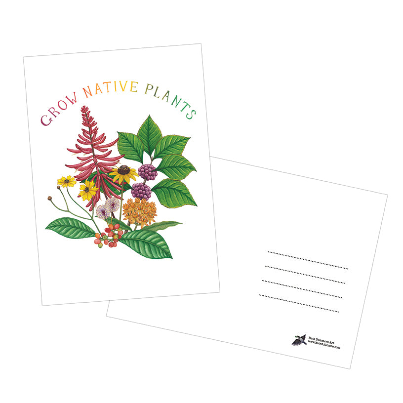 Grow Native Rack Cards Grow Native Plants 5x7 Postcard – Kate Dolamore Art Wholesale