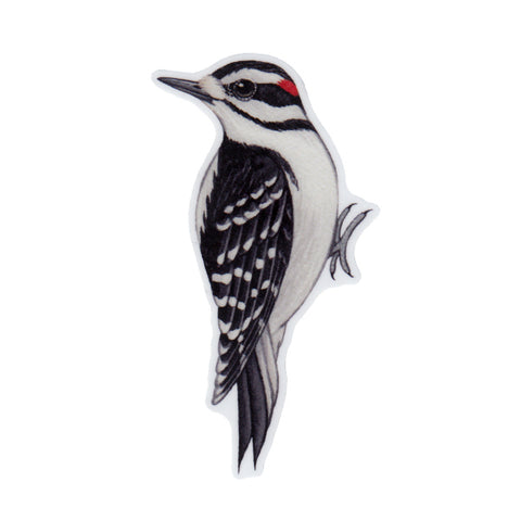 Wholesale Vinyl Sticker: Hairy Woodpecker