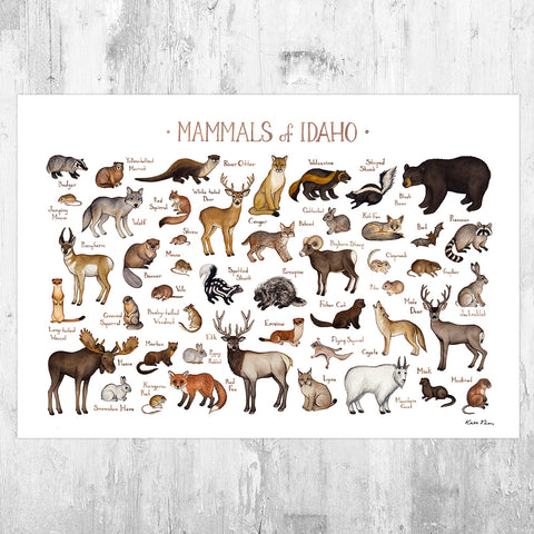 Wholesale Mammals Field Guide Art Print: Idaho