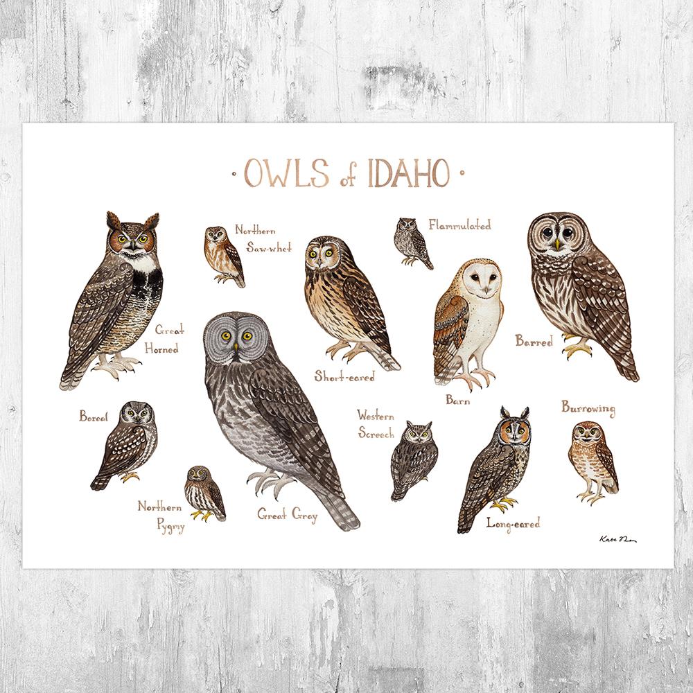 Wholesale Owls Field Guide Art Print: Idaho