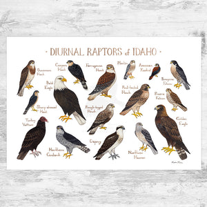 Wholesale Raptors Field Guide Art Print: Idaho