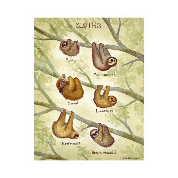 Sloth Field Guide Art Print