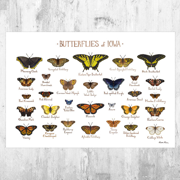 Wholesale Butterflies Field Guide Art Print: Iowa