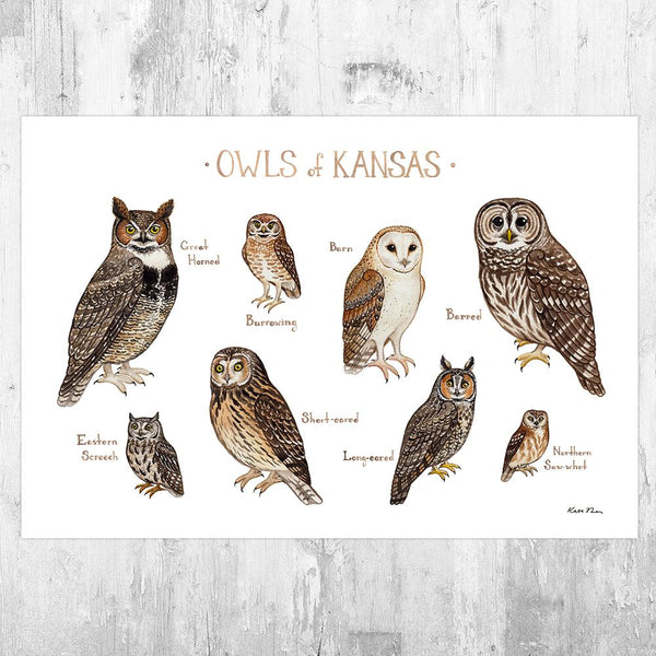 Wholesale Owls Field Guide Art Print: Kansas