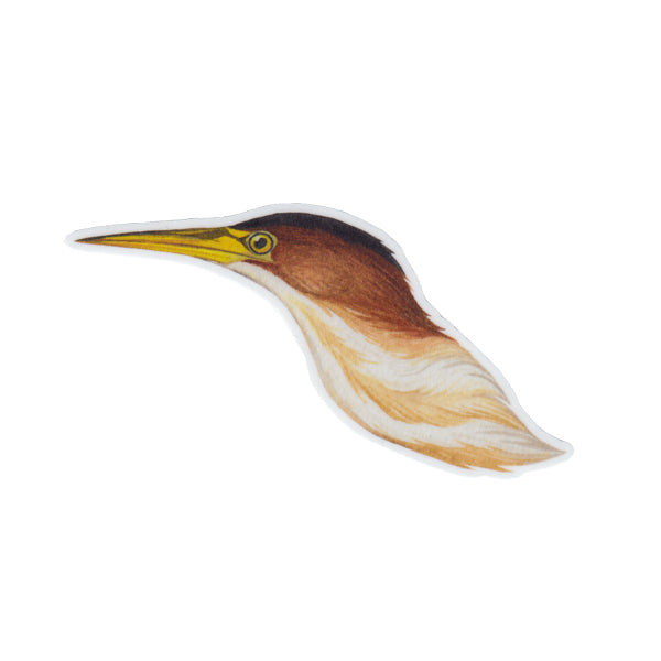 Wholesale Vinyl Sticker: Least Bittern