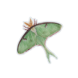 Wholesale Vinyl Sticker: Luna Moth