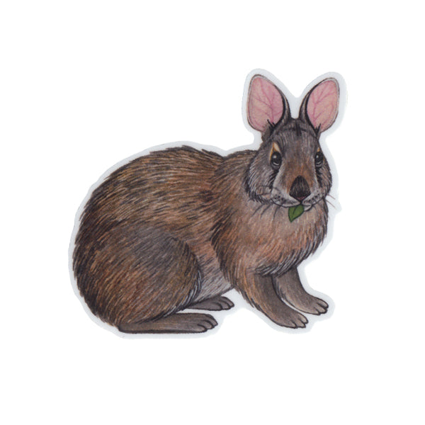 Wholesale Vinyl Sticker: Marsh Rabbit