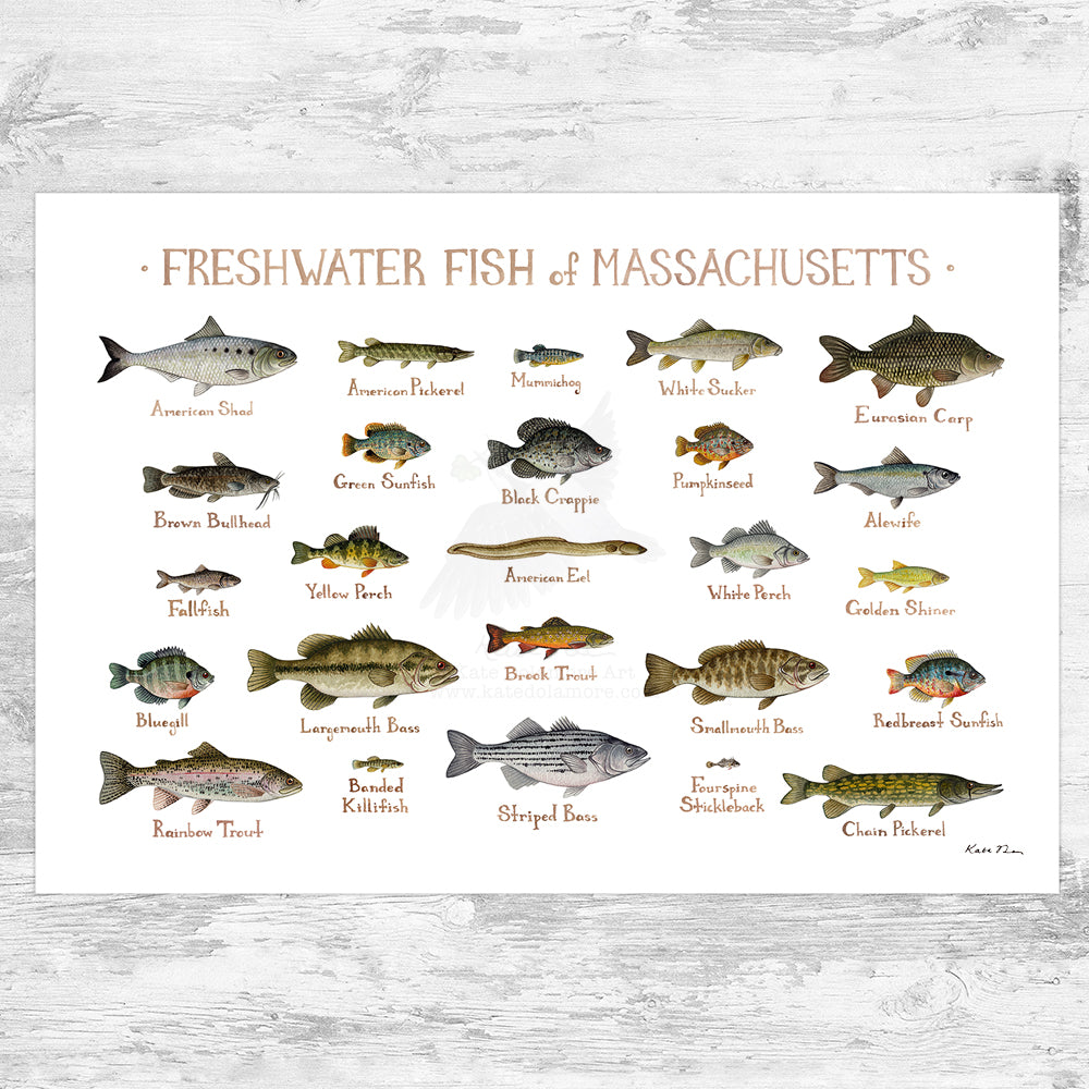 Freshwater Fish Chart Zipper Pouch