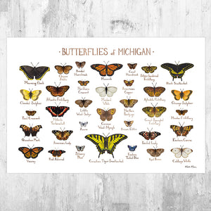 Wholesale Butterflies Field Guide Art Print: Michigan
