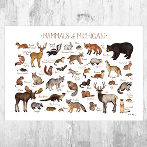 Wholesale Mammals Field Guide Art Print: Michigan