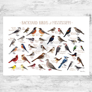 Wholesale Backyard Birds Field Guide Art Print: Mississippi