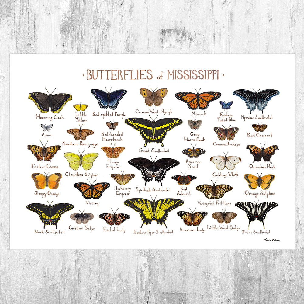 Wholesale Butterflies Field Guide Art Print: Mississippi