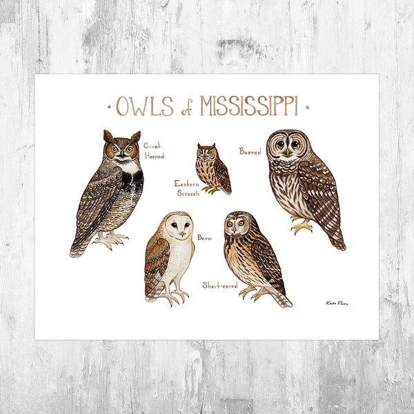 Wholesale Owls Field Guide Art Print: Mississippi