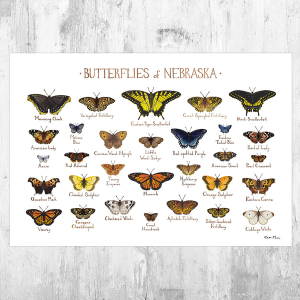 Wholesale Butterflies Field Guide Art Print: Nebraska