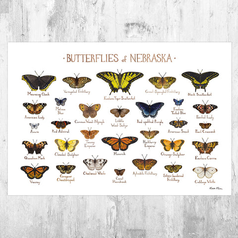 Wholesale Butterflies Field Guide Art Print: Nebraska