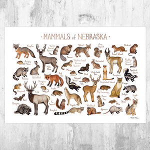 Wholesale Mammals Field Guide Art Print: Nebraska