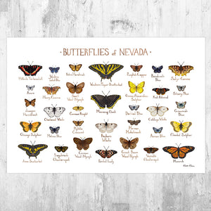Wholesale Butterflies Field Guide Art Print: Nevada