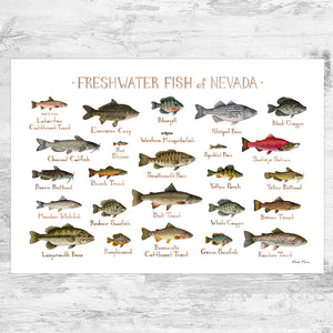 Wholesale Freshwater Fish Field Guide Art Print: Nevada