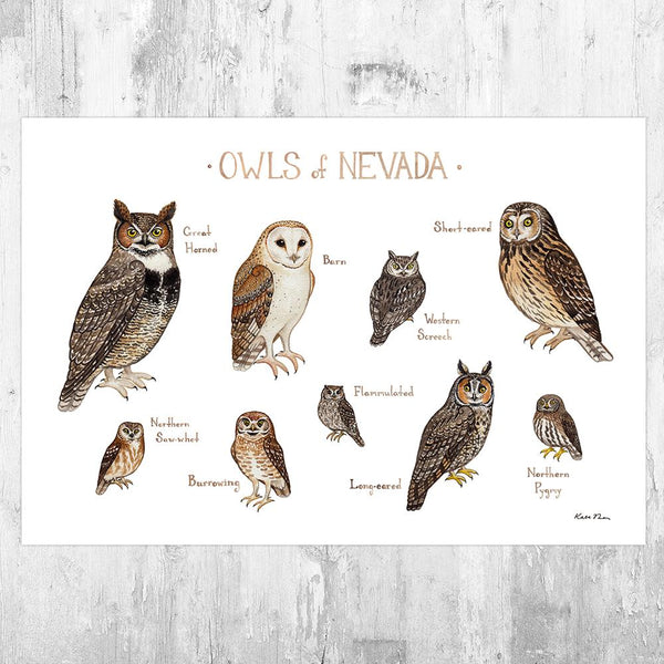 Wholesale Owls Field Guide Art Print: Nevada