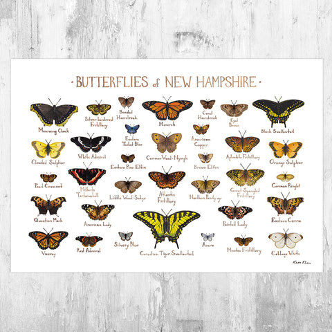 Wholesale Butterflies Field Guide Art Print: New Hampshire