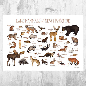 Wholesale Mammals Field Guide Art Print: New Hampshire