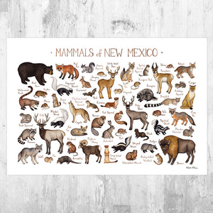 Wholesale Mammals Field Guide Art Print: New Mexico