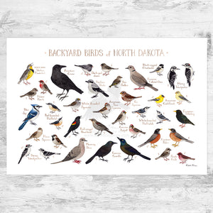 Wholesale Backyard Birds Field Guide Art Print: North Dakota