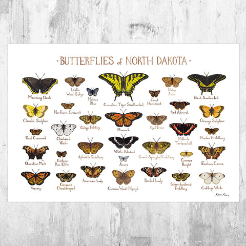 Wholesale Butterflies Field Guide Art Print: North Dakota