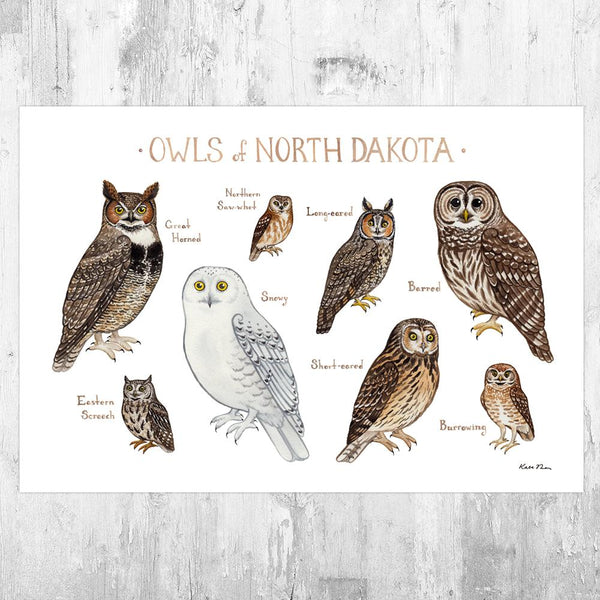 Wholesale Owls Field Guide Art Print: North Dakota