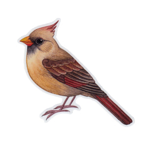 Wholesale Vinyl Sticker: Northern Cardinal (Female)