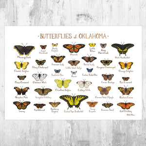 Wholesale Butterflies Field Guide Art Print: Oklahoma