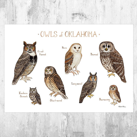 Wholesale Owls Field Guide Art Print: Oklahoma