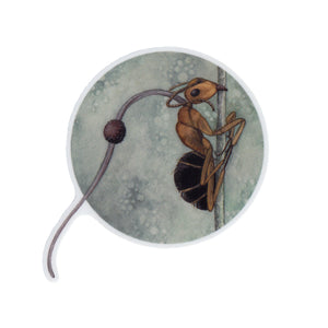 Wholesale Vinyl Sticker: Zombie Ant (Ophiocordyceps unilateralis)