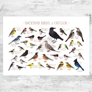 Wholesale Backyard Birds Field Guide Art Print: Oregon