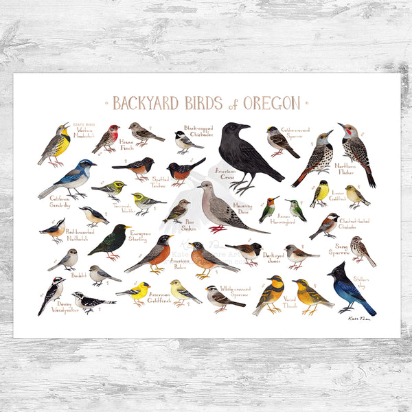 Wholesale Backyard Birds Field Guide Art Print: Oregon