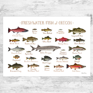 Wholesale Freshwater Fish Field Guide Art Print: Oregon