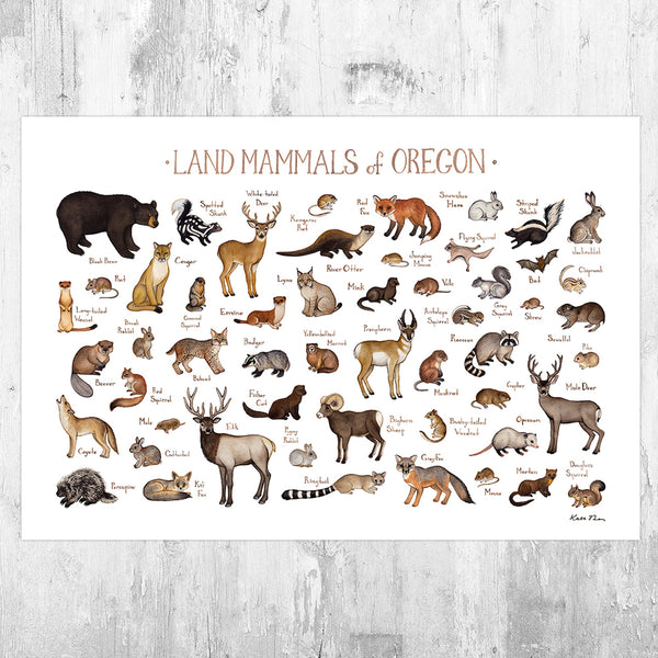 Wholesale Mammals Field Guide Art Print: Oregon
