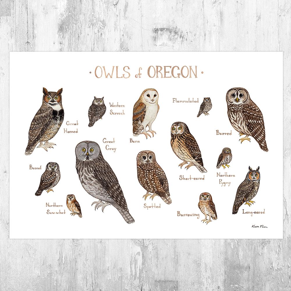 Wholesale Owls Field Guide Art Print: Oregon
