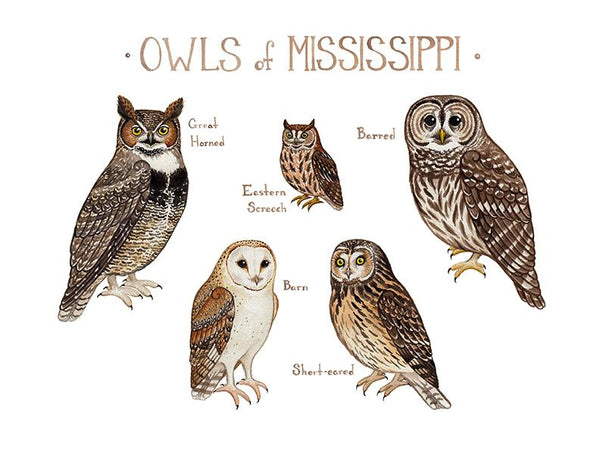 Wholesale Owls Field Guide Art Print: Mississippi