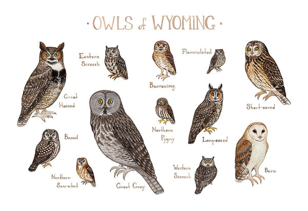 Wholesale Owls Field Guide Art Print: Wyoming