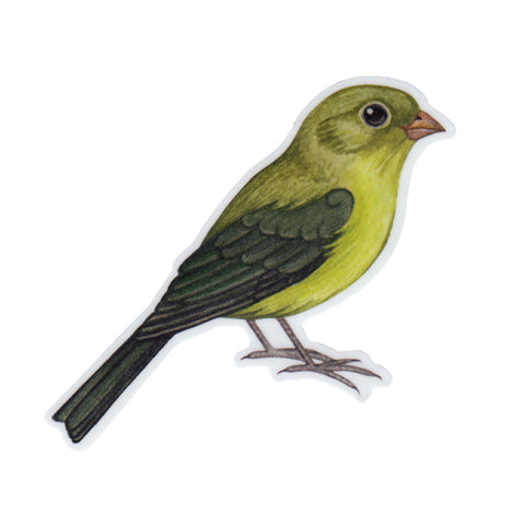 Wholesale Vinyl Sticker: Painted Bunting (Female)