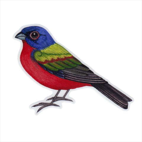Wholesale Vinyl Sticker: Painted Bunting (Male)