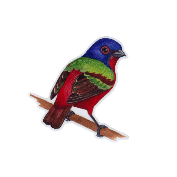 Wholesale Vinyl Sticker: Painted Bunting