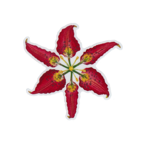 Wholesale Vinyl Sticker: Pine Lily